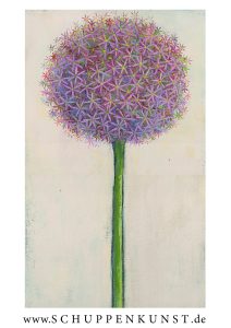 Allium