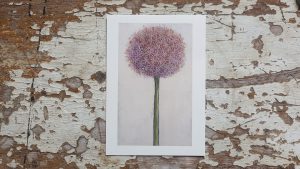 Allium