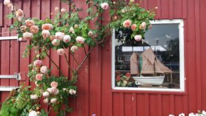 Galerie im Bootsschuppen